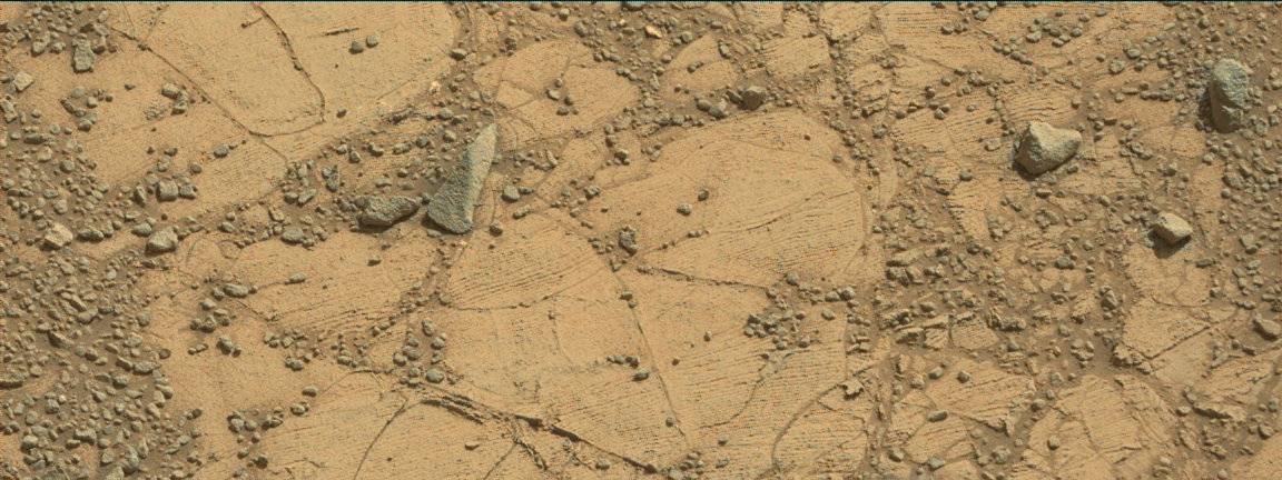 Nasa's Mars rover Curiosity acquired this image using its Mast Camera (Mastcam) on Sol 903, at drive 450, site number 45