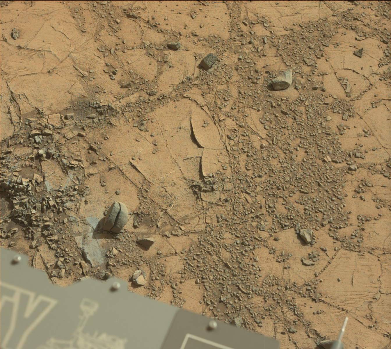 Nasa's Mars rover Curiosity acquired this image using its Mast Camera (Mastcam) on Sol 903, at drive 450, site number 45