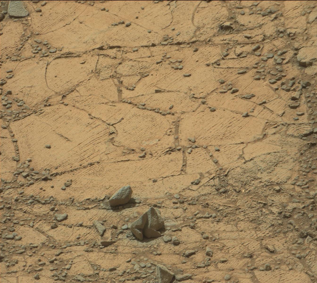 Nasa's Mars rover Curiosity acquired this image using its Mast Camera (Mastcam) on Sol 903, at drive 366, site number 45
