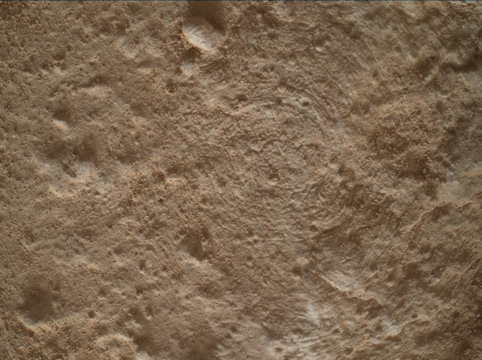 Nasa's Mars rover Curiosity acquired this image using its Mars Hand Lens Imager (MAHLI) on Sol 2801