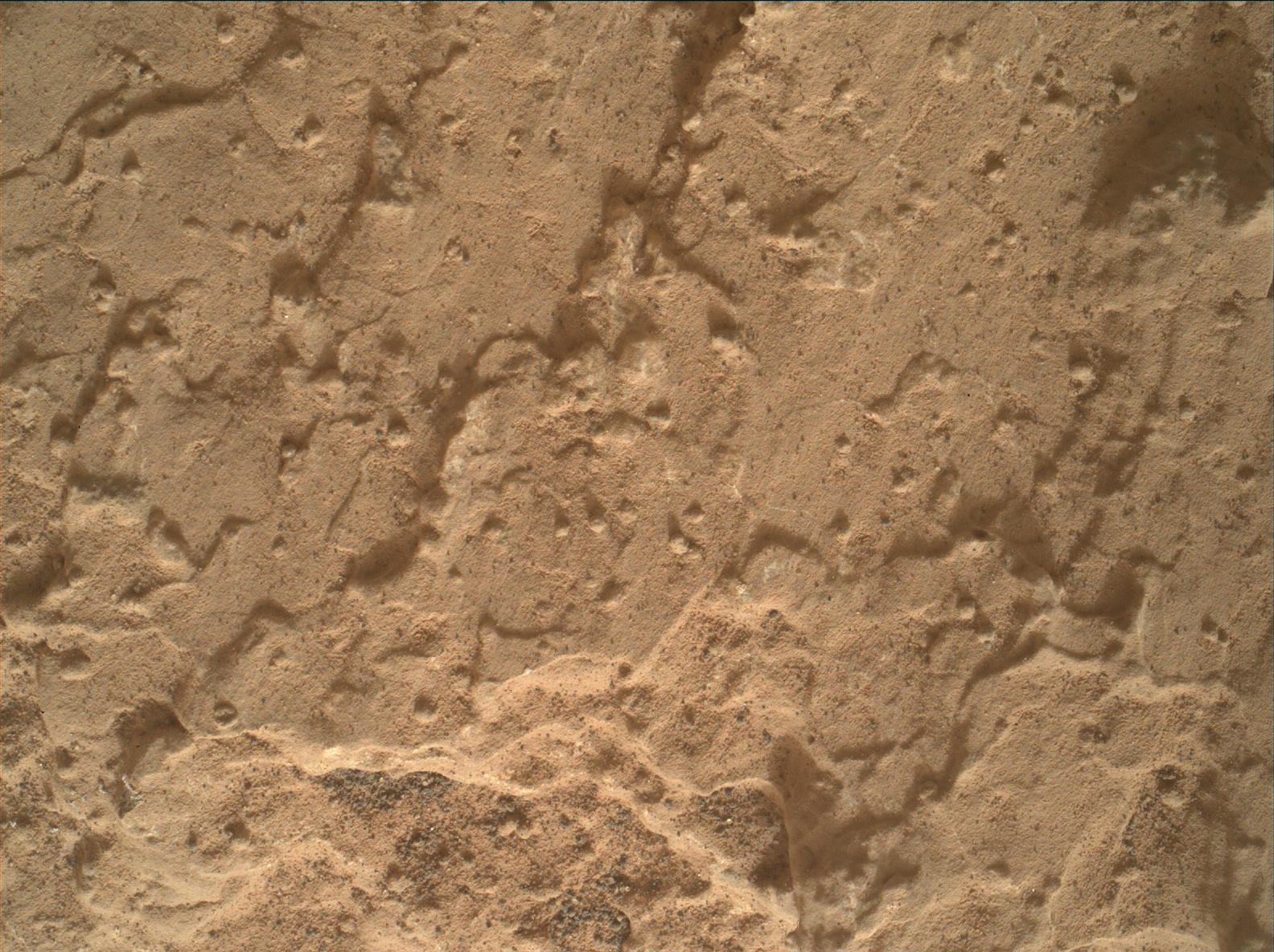 Nasa's Mars rover Curiosity acquired this image using its Mars Hand Lens Imager (MAHLI) on Sol 2804