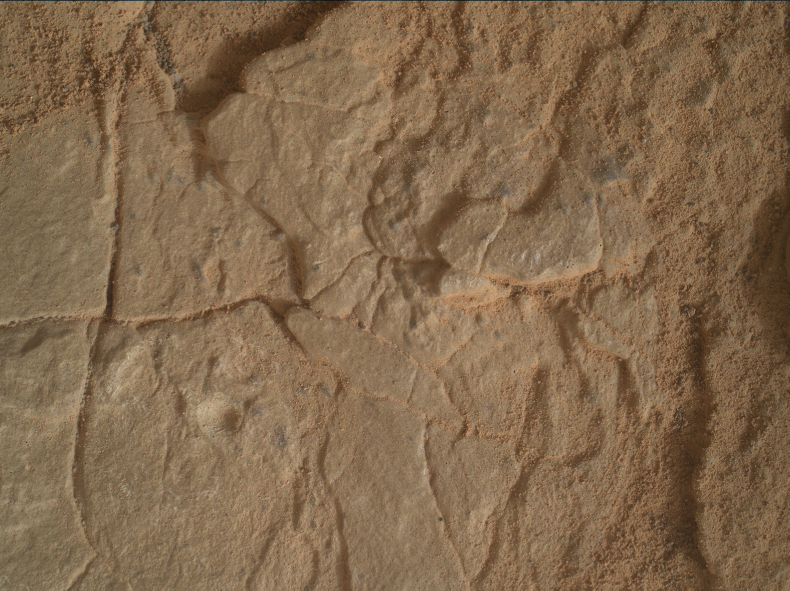 Nasa's Mars rover Curiosity acquired this image using its Mars Hand Lens Imager (MAHLI) on Sol 2826