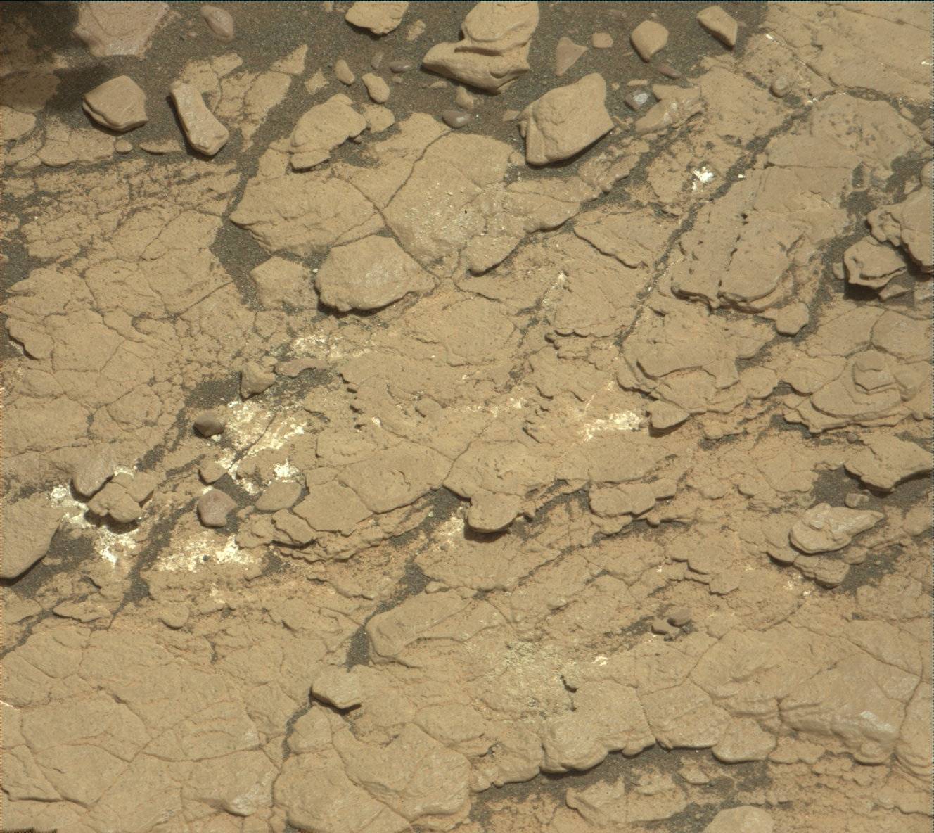 Nasa's Mars rover Curiosity acquired this image using its Mast Camera (Mastcam) on Sol 2920