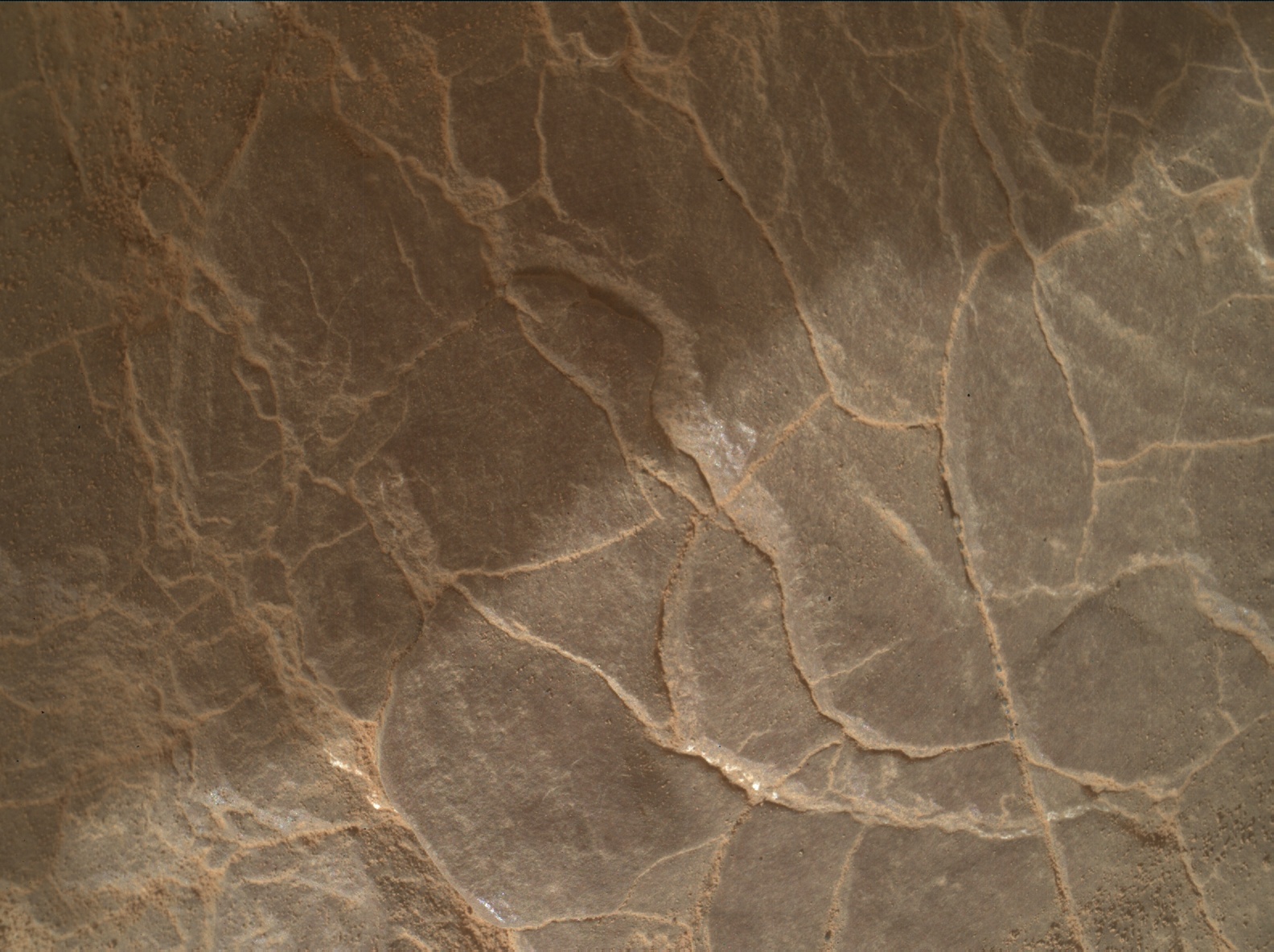 Nasa's Mars rover Curiosity acquired this image using its Mars Hand Lens Imager (MAHLI) on Sol 2949