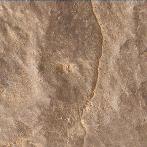 Nasa's Mars rover Curiosity acquired this image using its Mars Hand Lens Imager (MAHLI) on Sol 2955