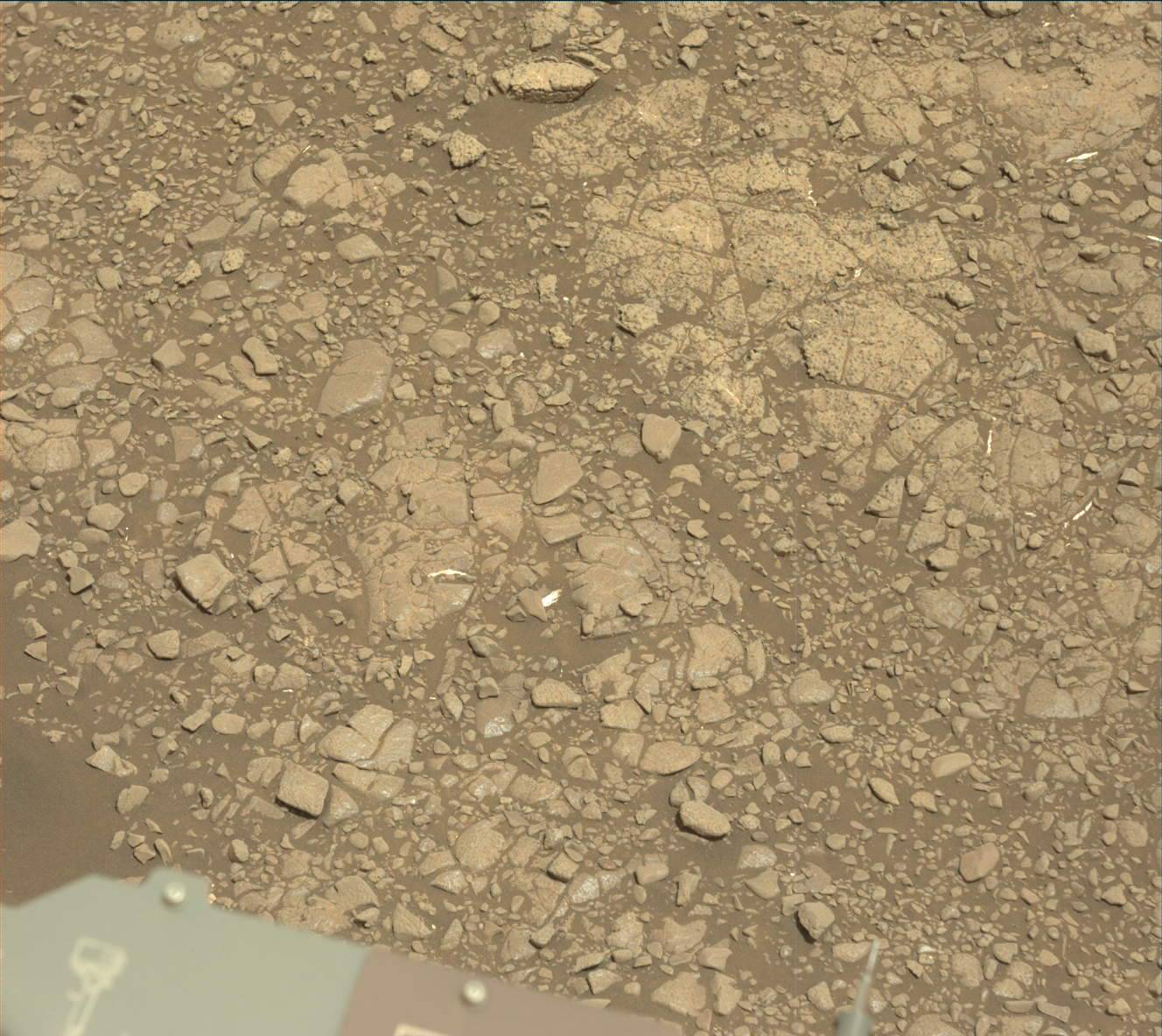 Nasa's Mars rover Curiosity acquired this image using its Mast Camera (Mastcam) on Sol 2959