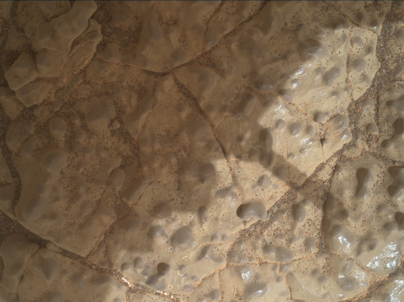 Nasa's Mars rover Curiosity acquired this image using its Mars Hand Lens Imager (MAHLI) on Sol 2965
