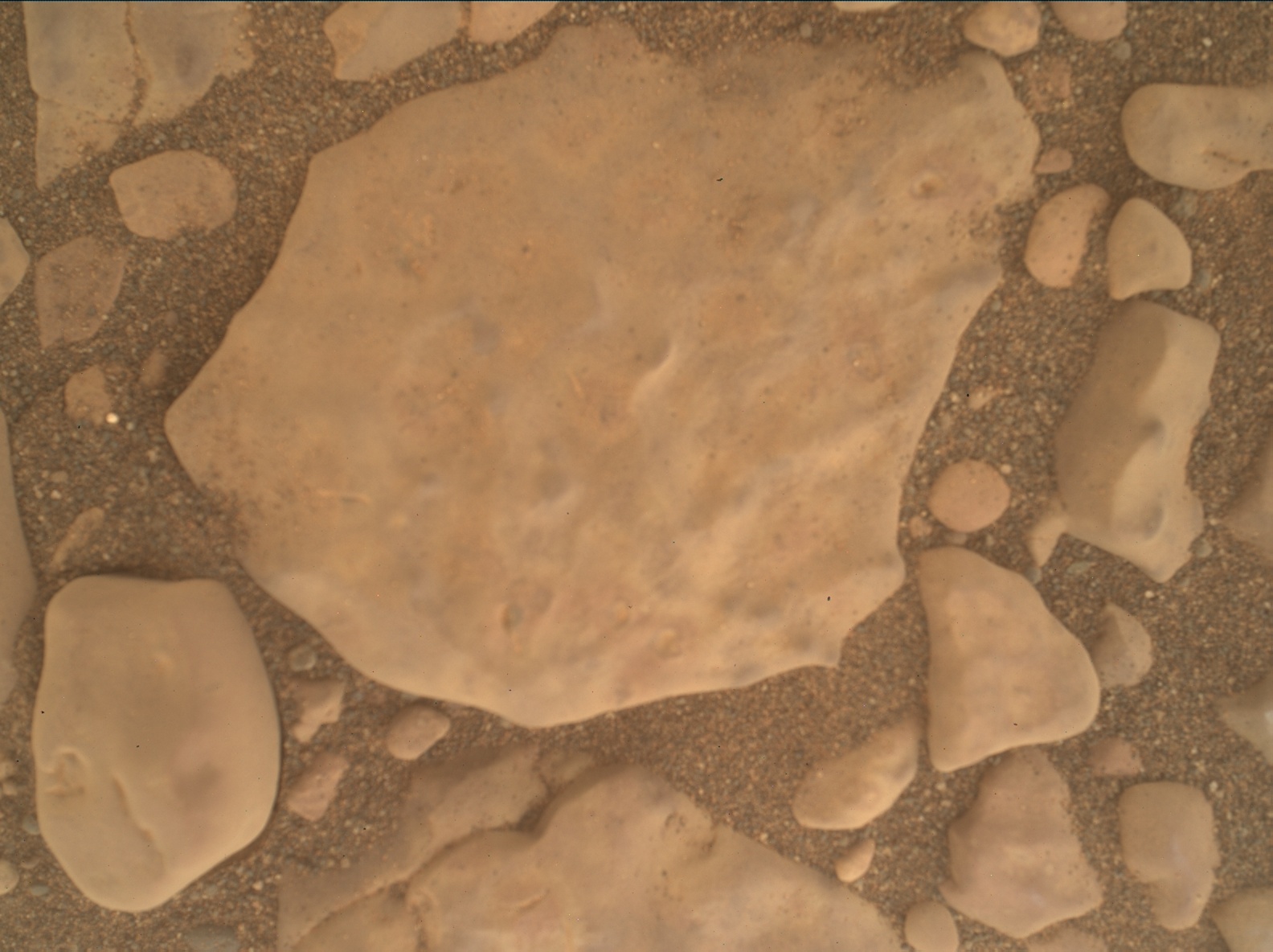 Nasa's Mars rover Curiosity acquired this image using its Mars Hand Lens Imager (MAHLI) on Sol 2972