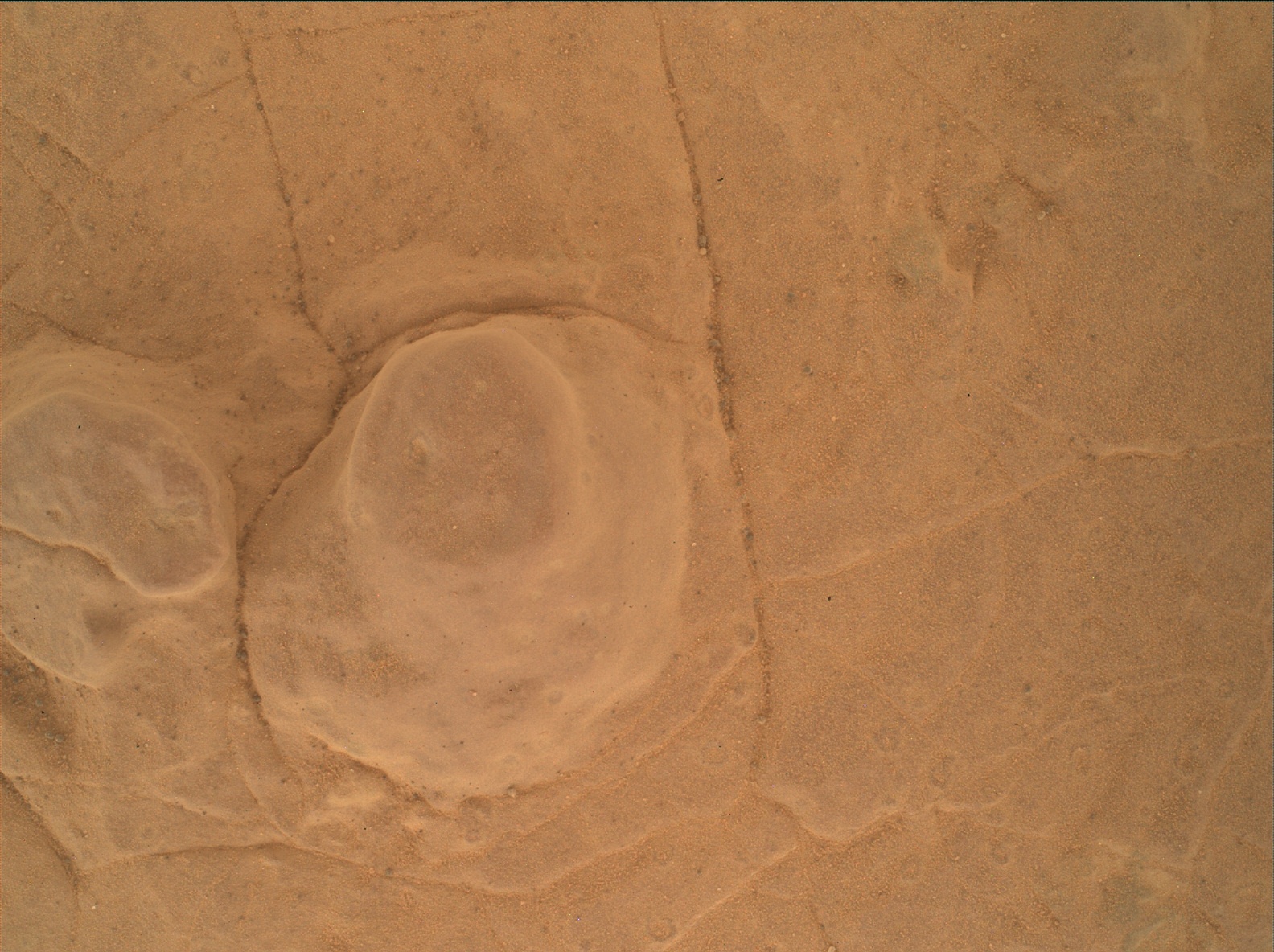 Nasa's Mars rover Curiosity acquired this image using its Mars Hand Lens Imager (MAHLI) on Sol 2974