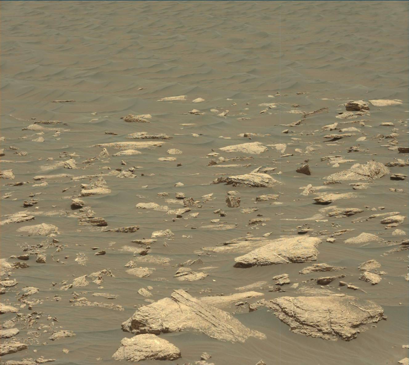Nasa's Mars rover Curiosity acquired this image using its Mast Camera (Mastcam) on Sol 2977