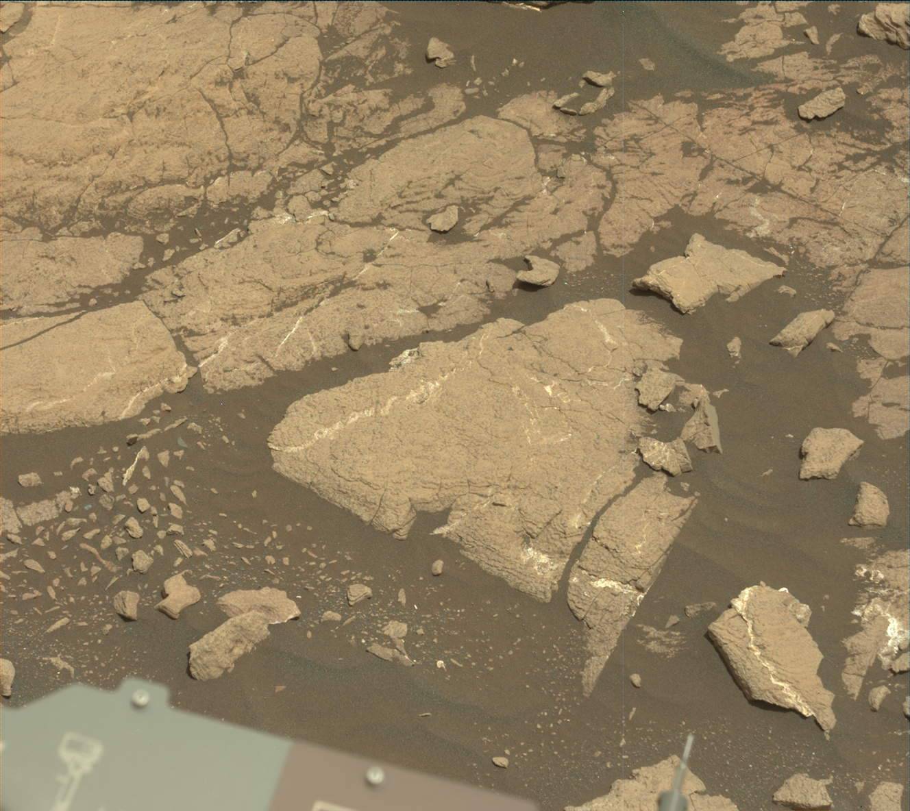 Nasa's Mars rover Curiosity acquired this image using its Mast Camera (Mastcam) on Sol 2977