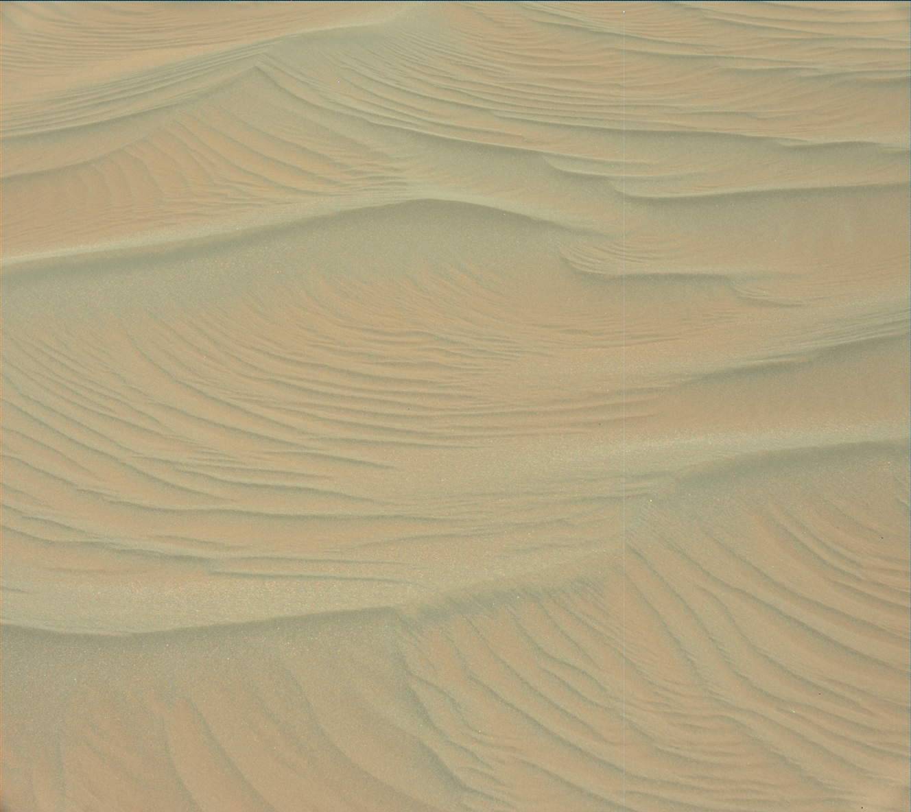 Nasa's Mars rover Curiosity acquired this image using its Mast Camera (Mastcam) on Sol 2979