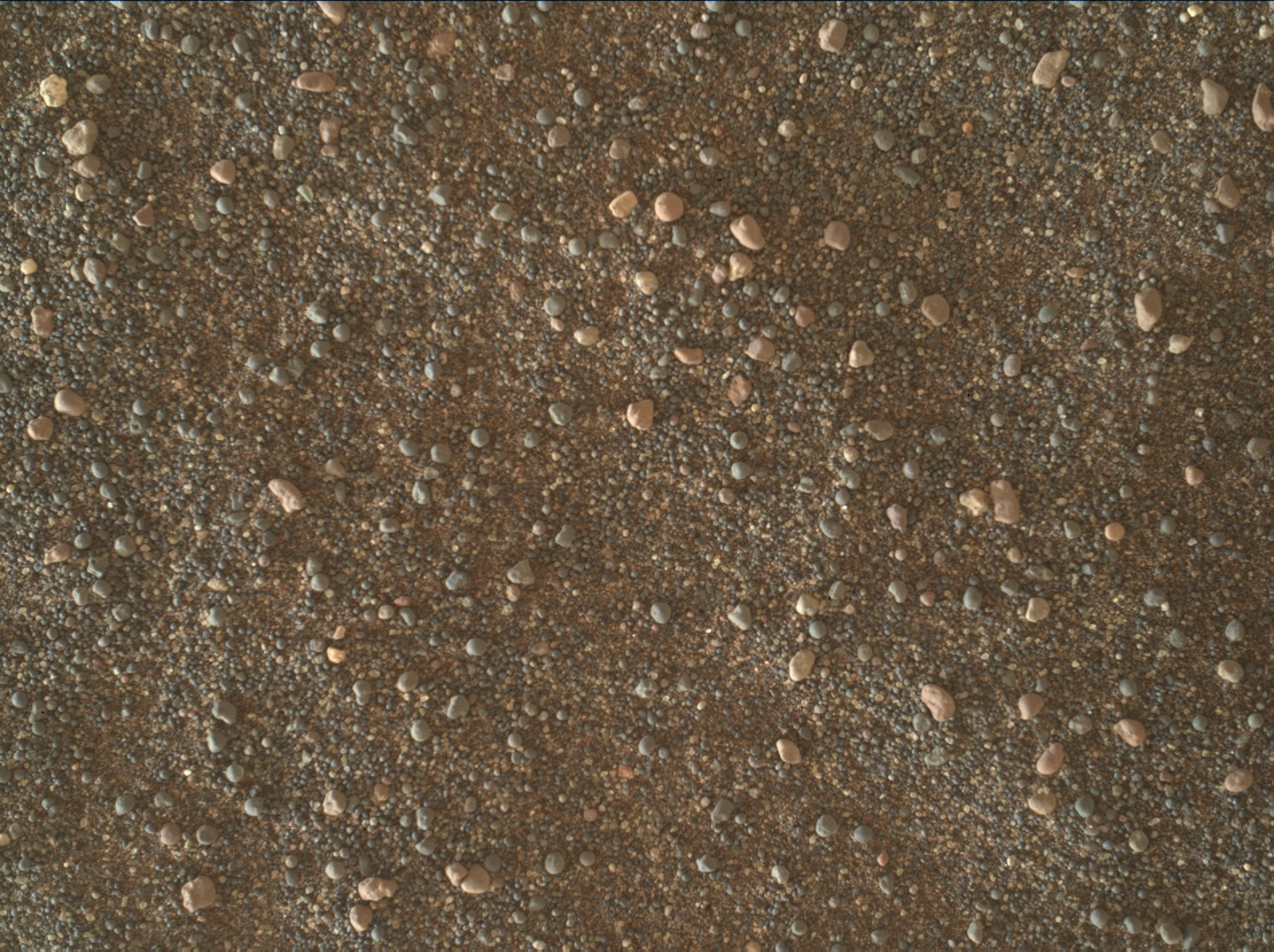 Nasa's Mars rover Curiosity acquired this image using its Mars Hand Lens Imager (MAHLI) on Sol 2989
