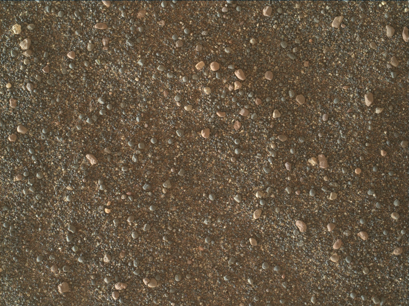 Nasa's Mars rover Curiosity acquired this image using its Mars Hand Lens Imager (MAHLI) on Sol 2991