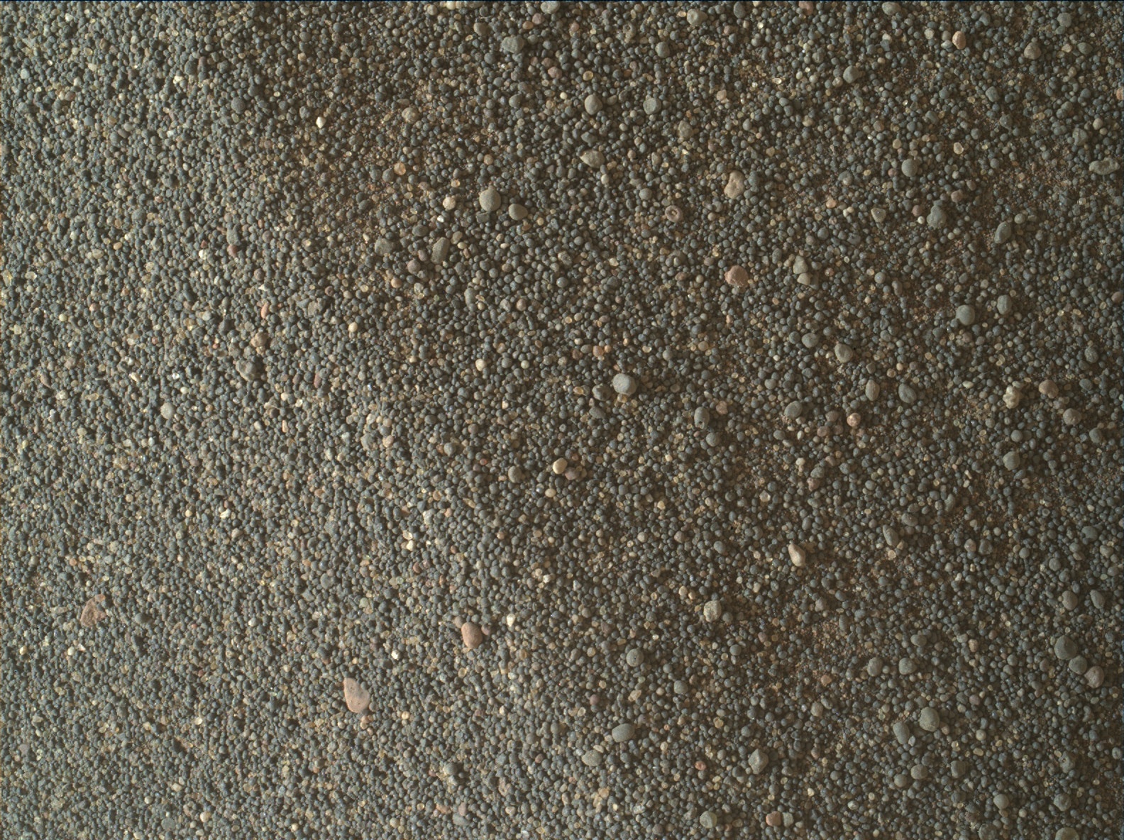 Nasa's Mars rover Curiosity acquired this image using its Mars Hand Lens Imager (MAHLI) on Sol 2992
