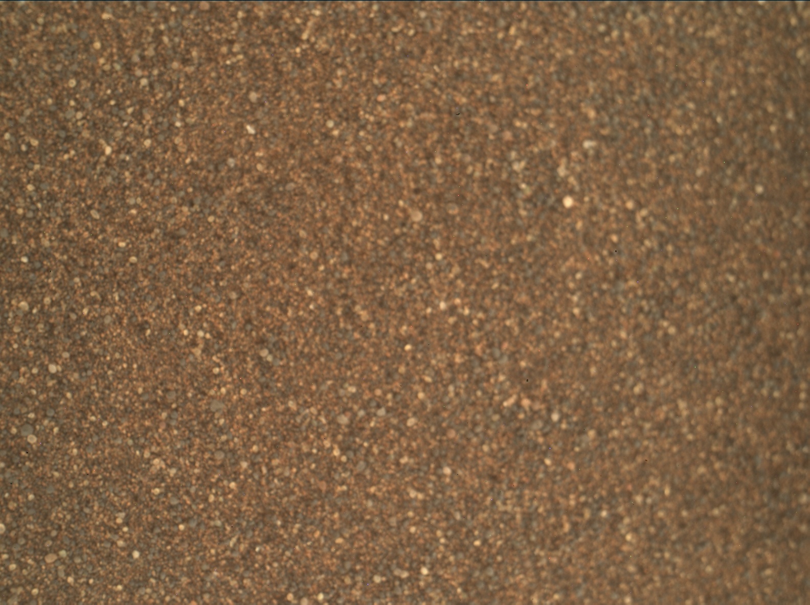 Nasa's Mars rover Curiosity acquired this image using its Mars Hand Lens Imager (MAHLI) on Sol 2993