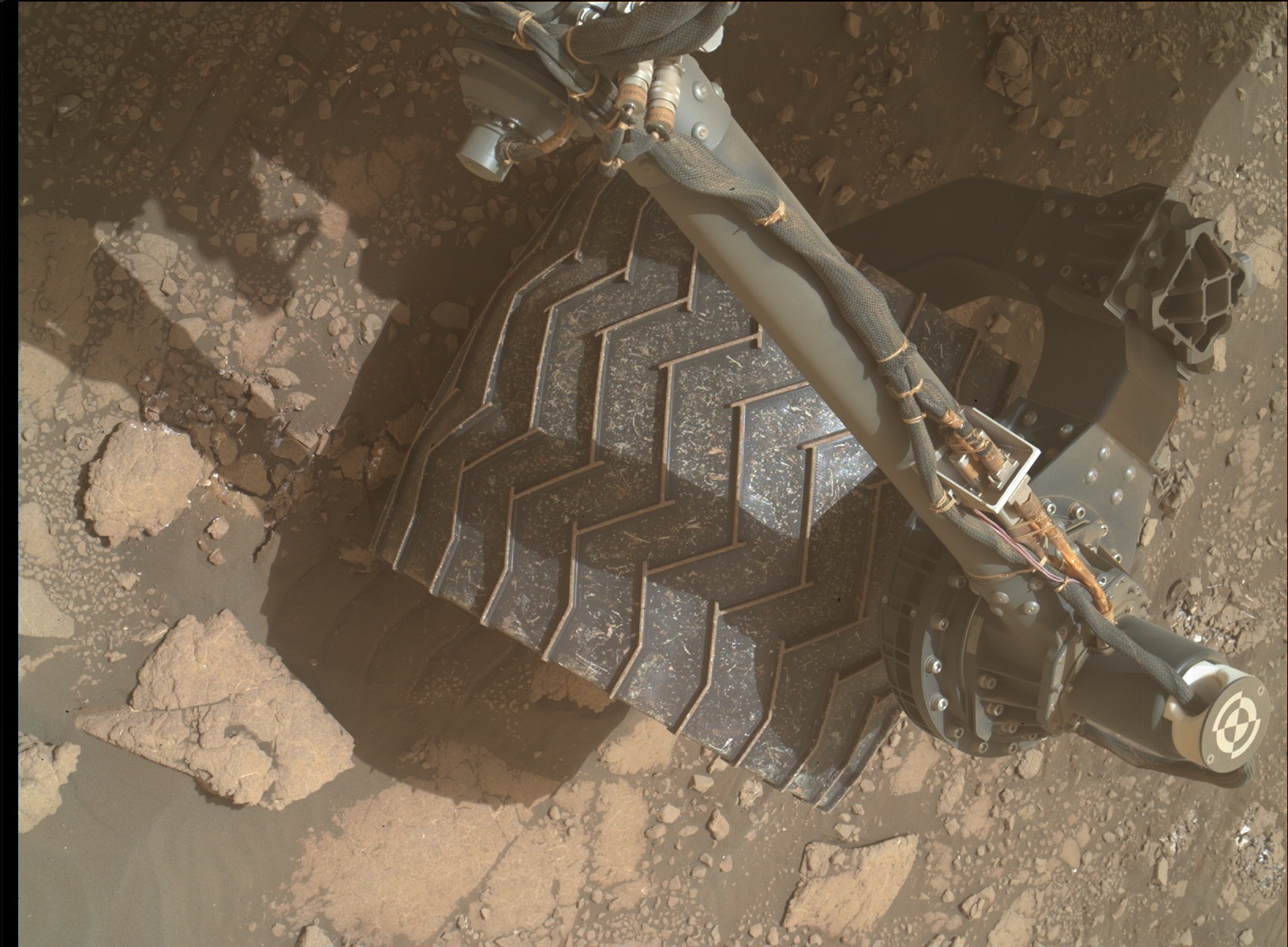 Nasa's Mars rover Curiosity acquired this image using its Mars Hand Lens Imager (MAHLI) on Sol 3005