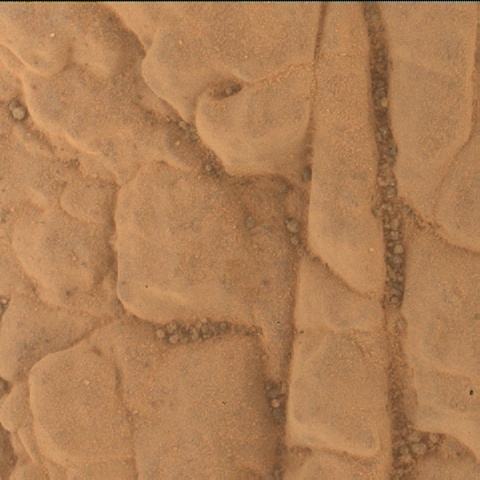Nasa's Mars rover Curiosity acquired this image using its Mars Hand Lens Imager (MAHLI) on Sol 3007