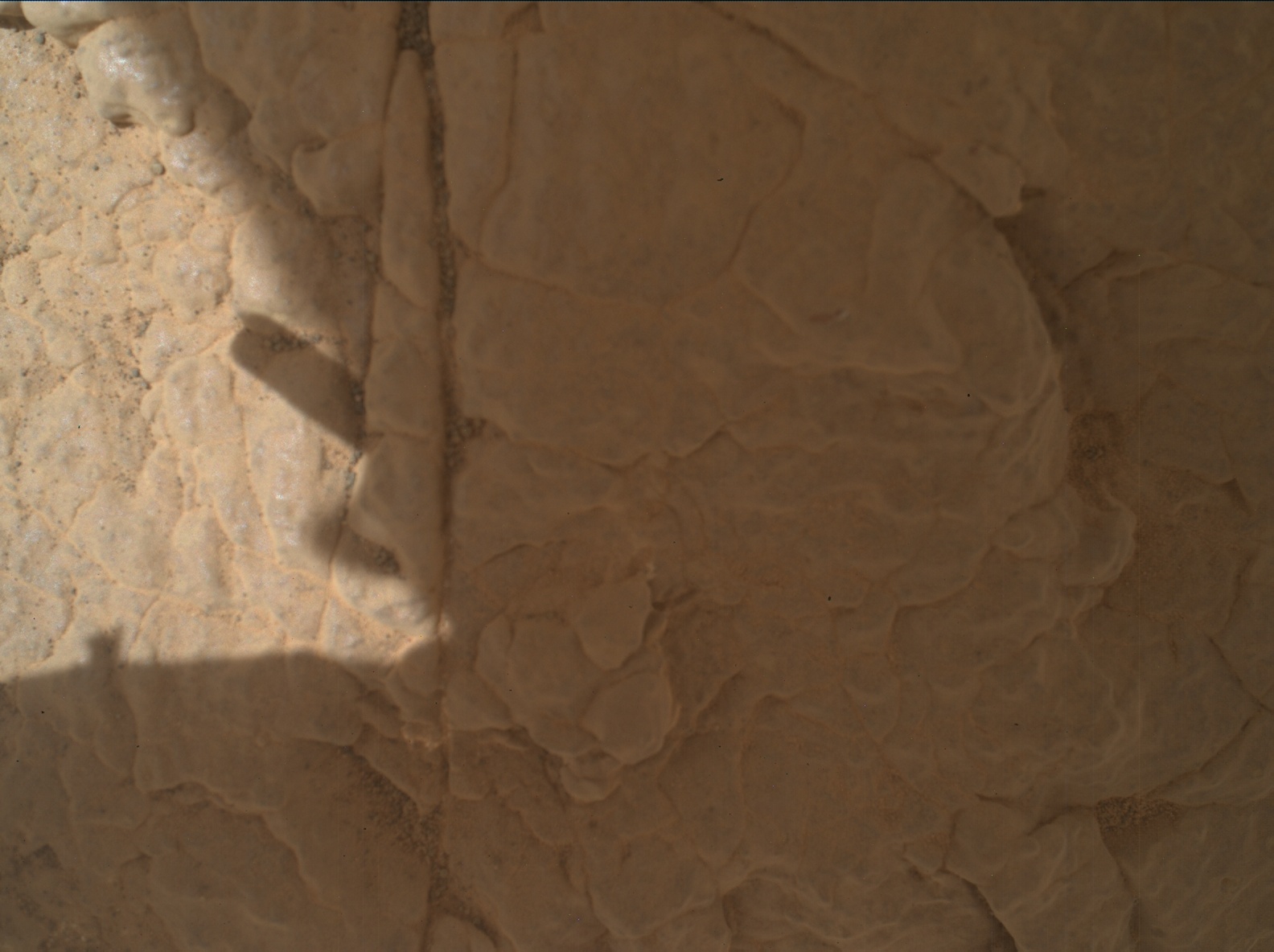 Nasa's Mars rover Curiosity acquired this image using its Mars Hand Lens Imager (MAHLI) on Sol 3007