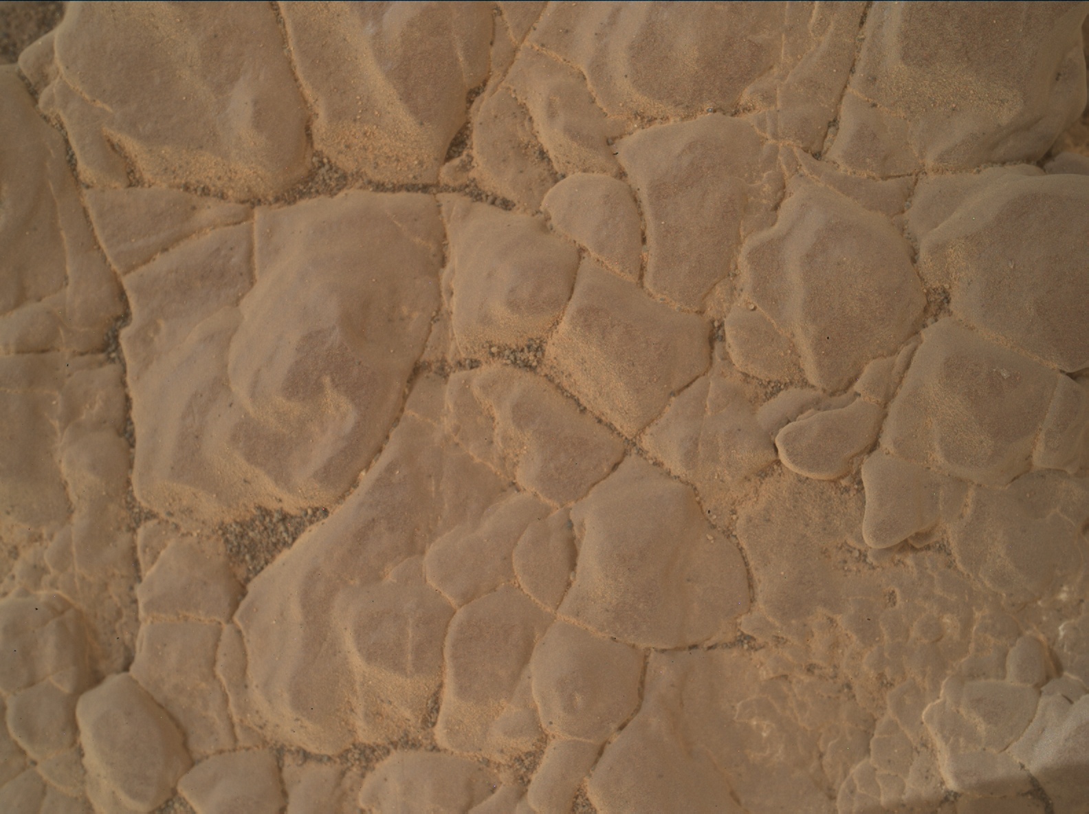 Nasa's Mars rover Curiosity acquired this image using its Mars Hand Lens Imager (MAHLI) on Sol 3010