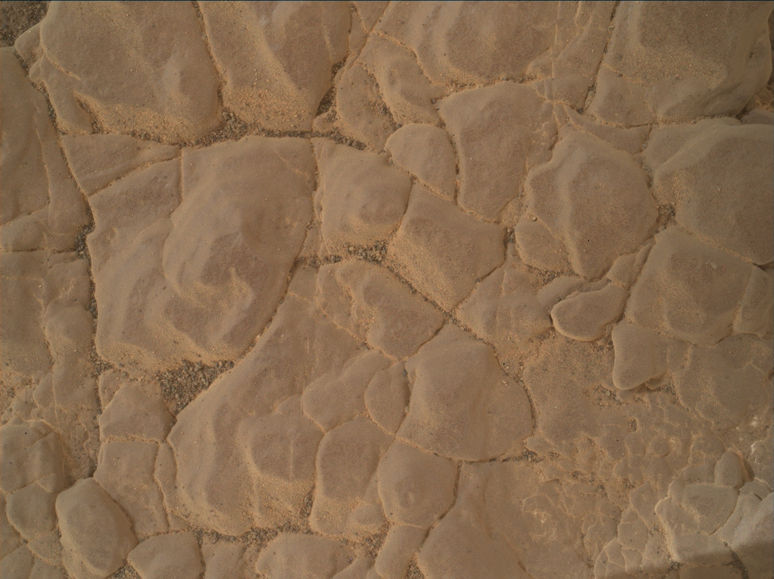 Nasa's Mars rover Curiosity acquired this image using its Mars Hand Lens Imager (MAHLI) on Sol 3011