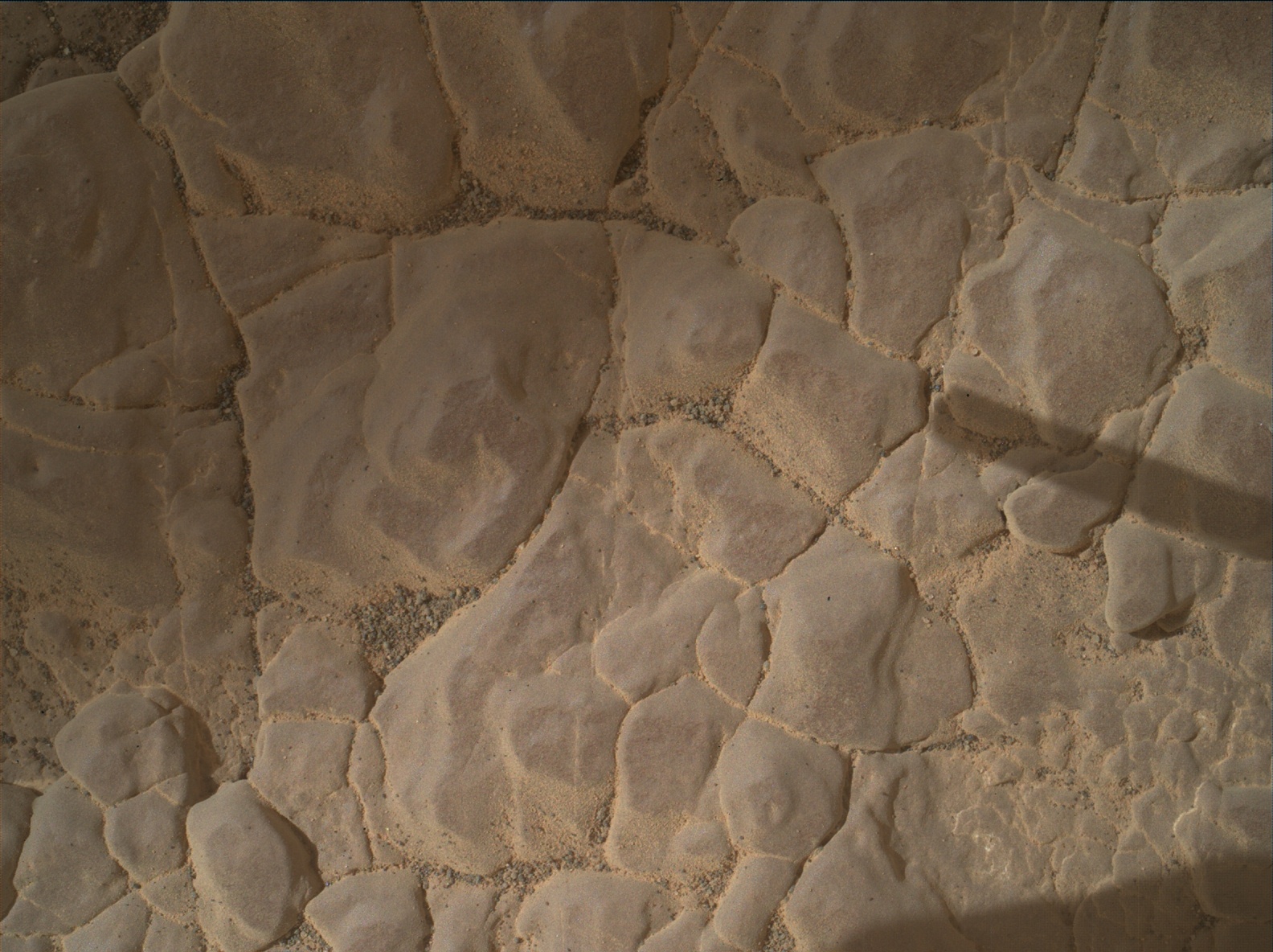 Nasa's Mars rover Curiosity acquired this image using its Mars Hand Lens Imager (MAHLI) on Sol 3011