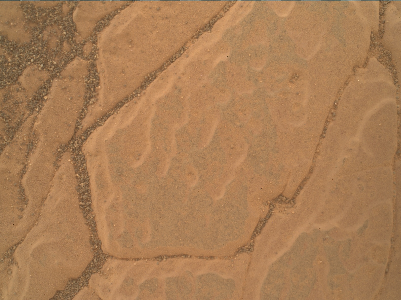 Nasa's Mars rover Curiosity acquired this image using its Mars Hand Lens Imager (MAHLI) on Sol 3013