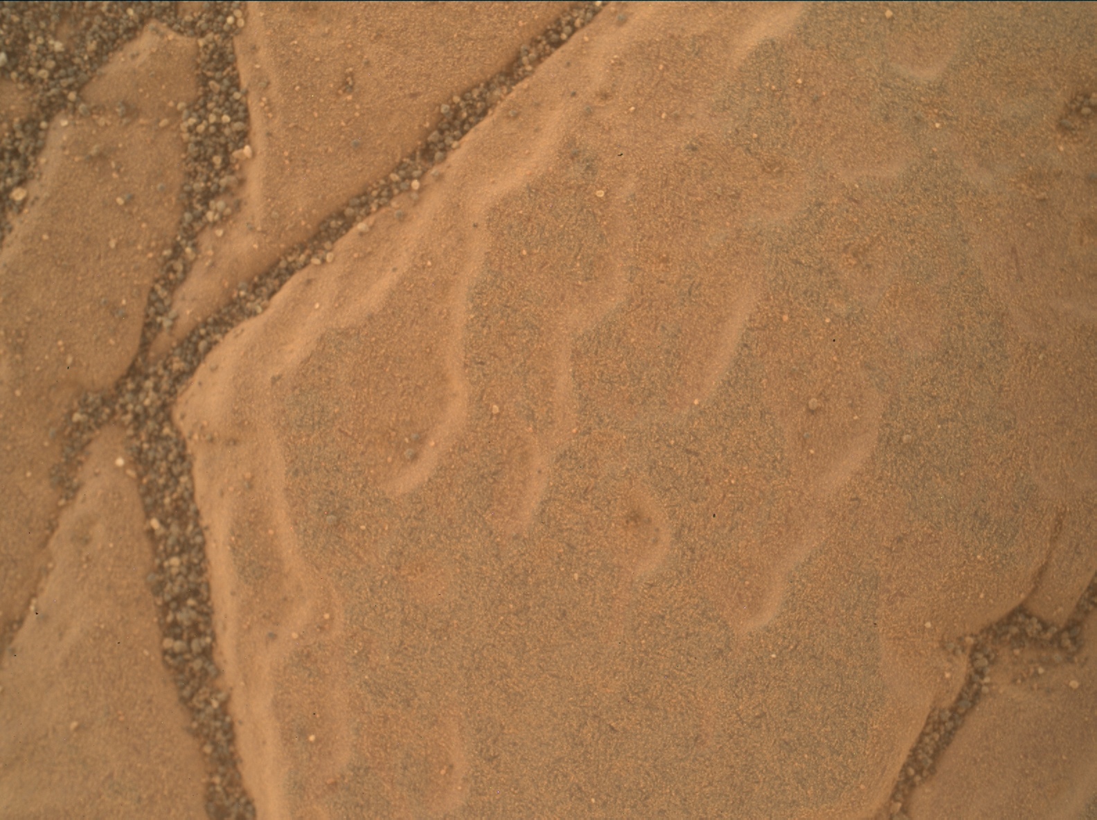 Nasa's Mars rover Curiosity acquired this image using its Mars Hand Lens Imager (MAHLI) on Sol 3013
