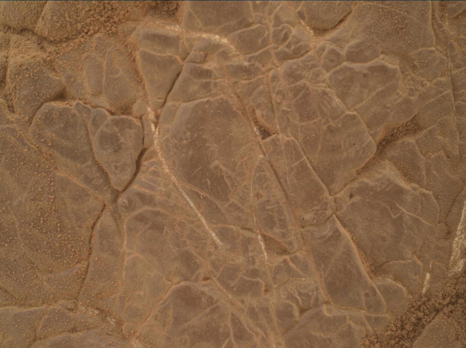 Nasa's Mars rover Curiosity acquired this image using its Mars Hand Lens Imager (MAHLI) on Sol 3017