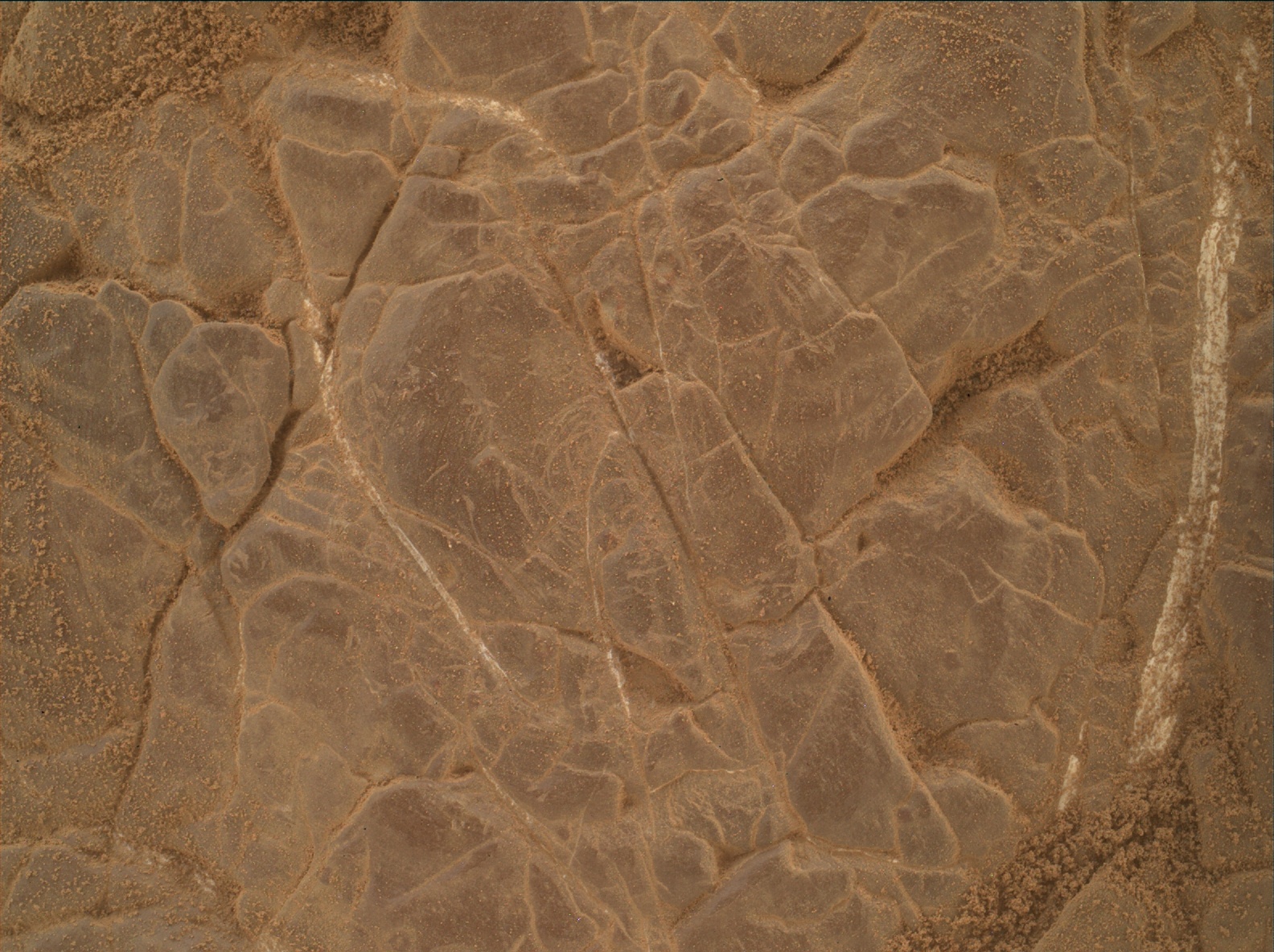 Nasa's Mars rover Curiosity acquired this image using its Mars Hand Lens Imager (MAHLI) on Sol 3018
