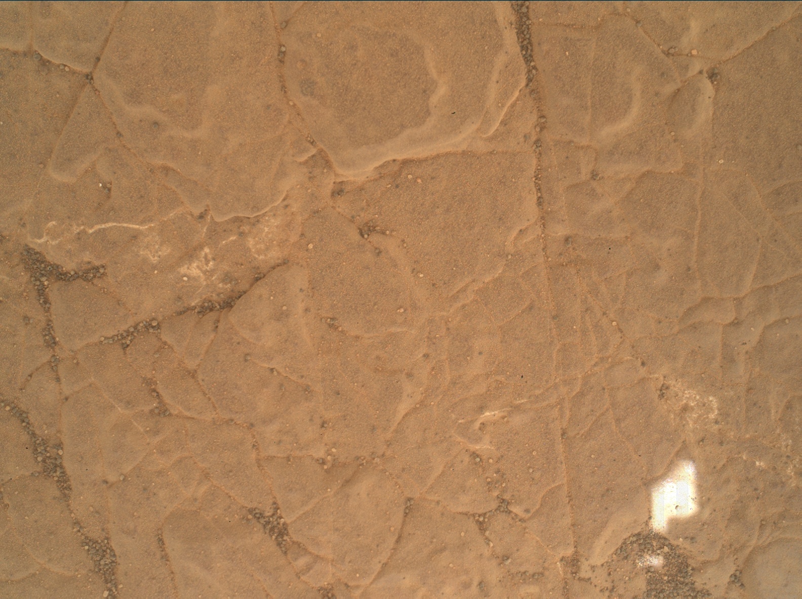 Nasa's Mars rover Curiosity acquired this image using its Mars Hand Lens Imager (MAHLI) on Sol 3020