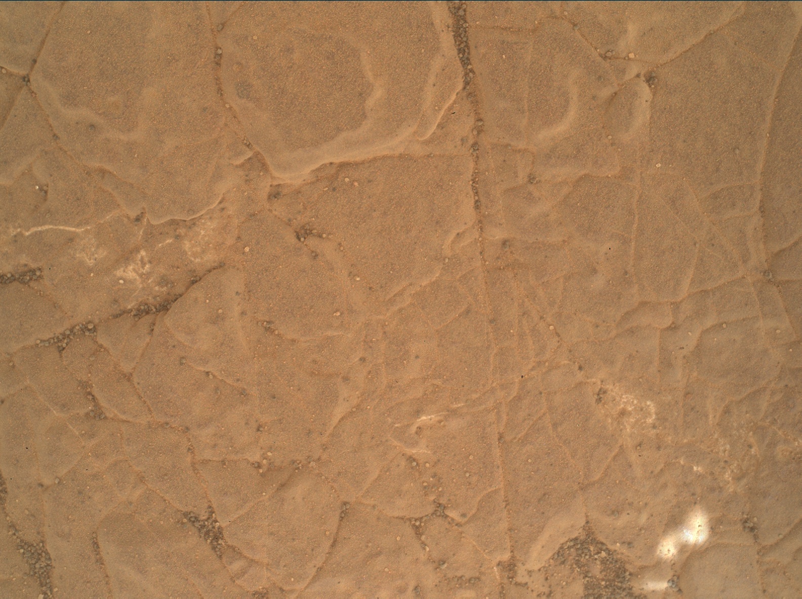 Nasa's Mars rover Curiosity acquired this image using its Mars Hand Lens Imager (MAHLI) on Sol 3020