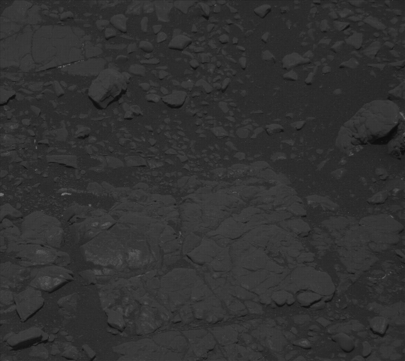 Nasa's Mars rover Curiosity acquired this image using its Mast Camera (Mastcam) on Sol 3022
