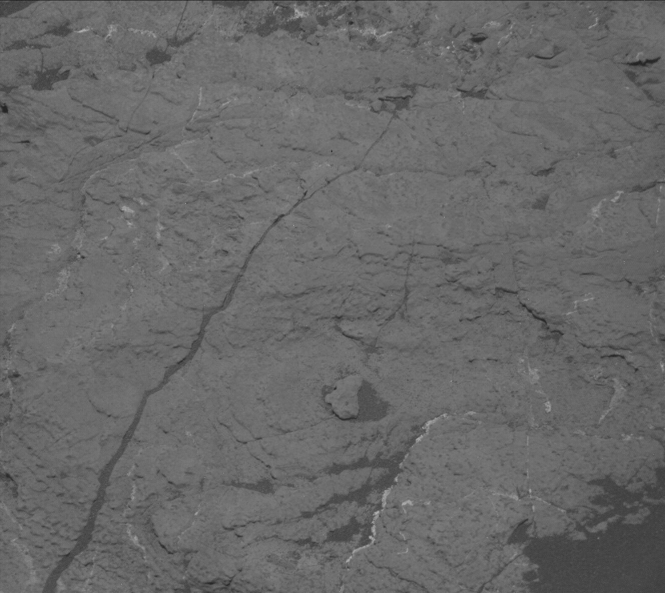 Nasa's Mars rover Curiosity acquired this image using its Mast Camera (Mastcam) on Sol 3027