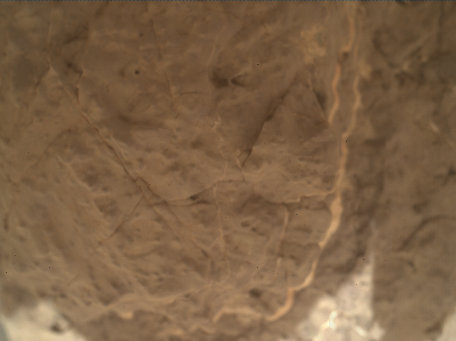 Nasa's Mars rover Curiosity acquired this image using its Mars Hand Lens Imager (MAHLI) on Sol 3028