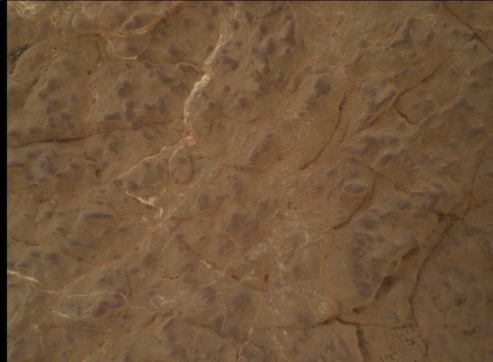 Nasa's Mars rover Curiosity acquired this image using its Mars Hand Lens Imager (MAHLI) on Sol 3031