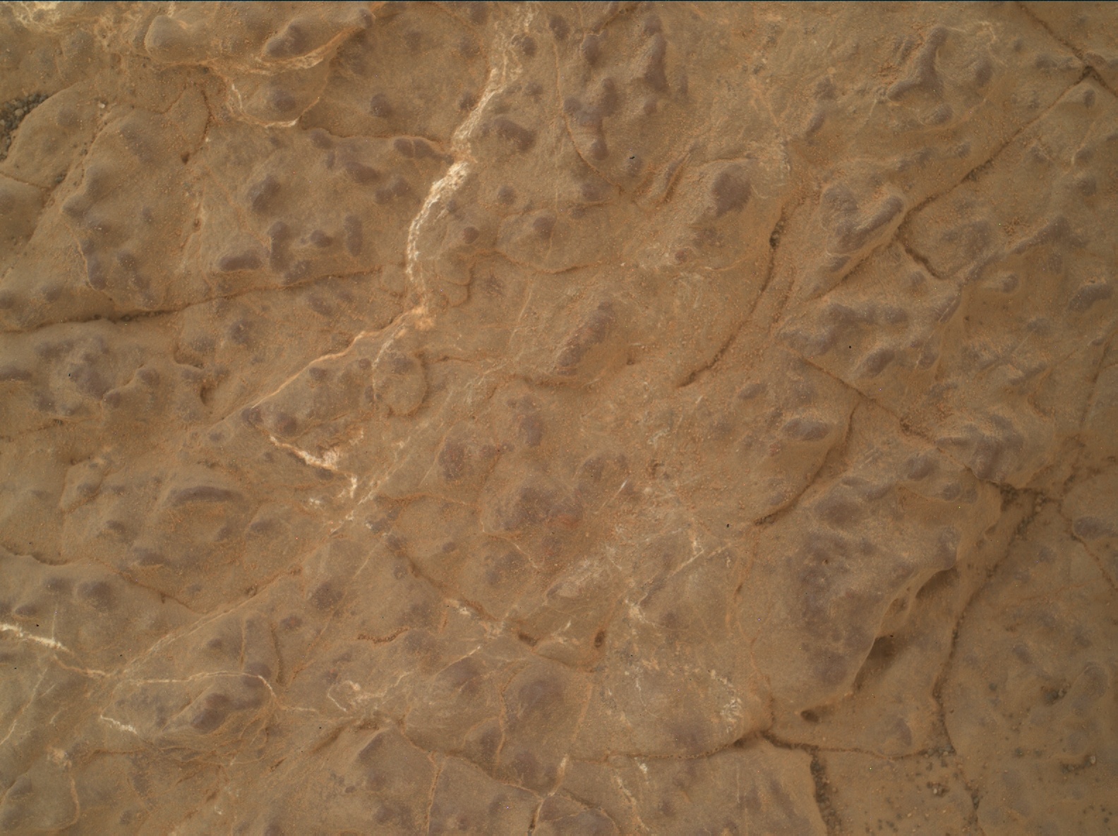 Nasa's Mars rover Curiosity acquired this image using its Mars Hand Lens Imager (MAHLI) on Sol 3031