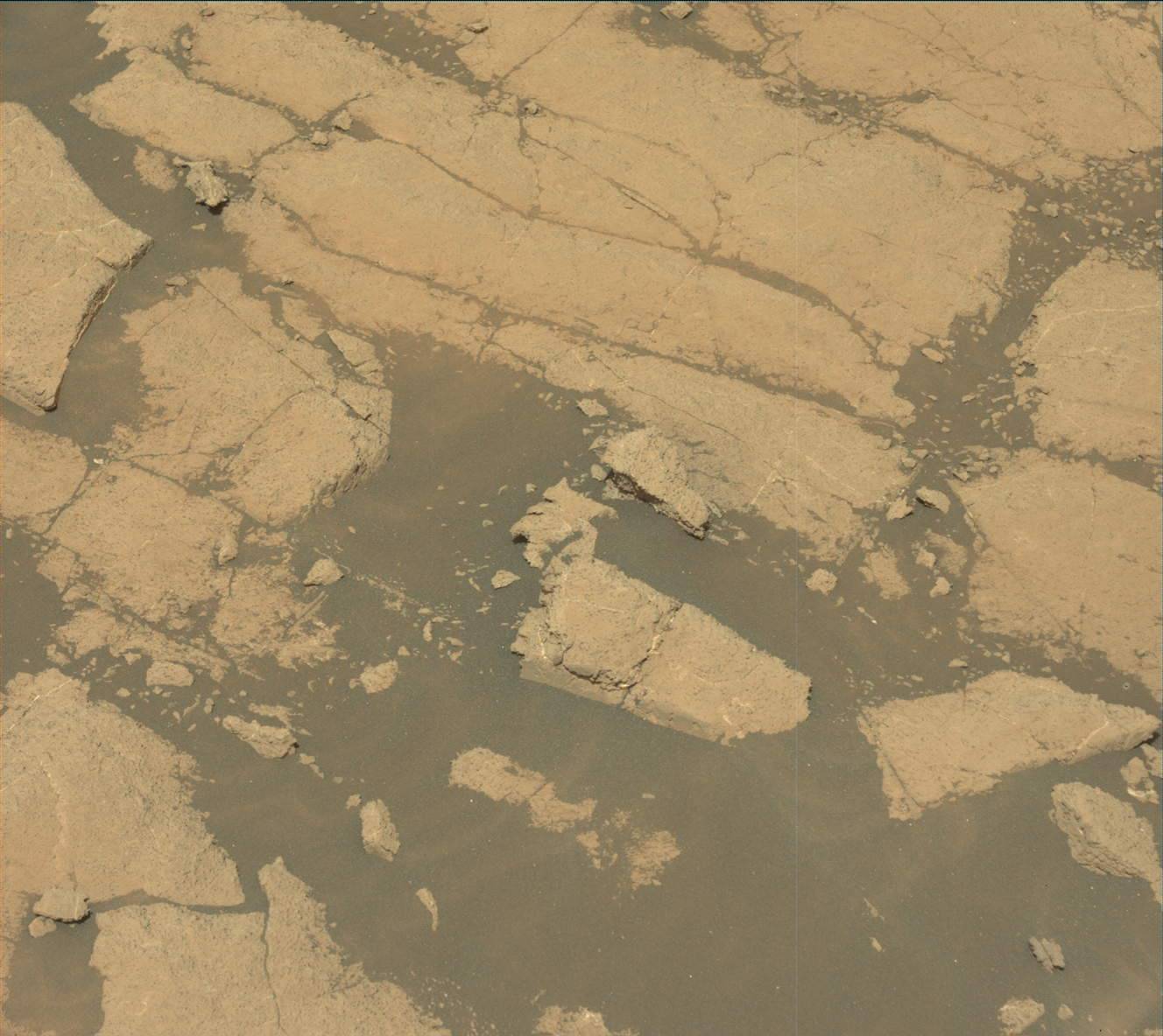 Nasa's Mars rover Curiosity acquired this image using its Mast Camera (Mastcam) on Sol 3036