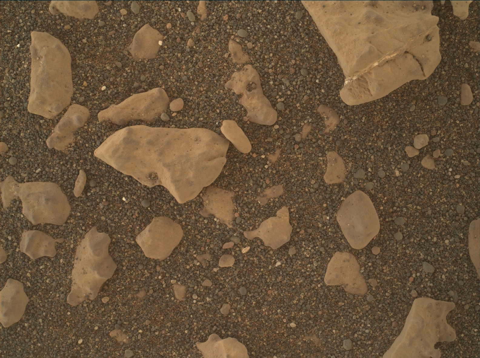 Nasa's Mars rover Curiosity acquired this image using its Mars Hand Lens Imager (MAHLI) on Sol 3036
