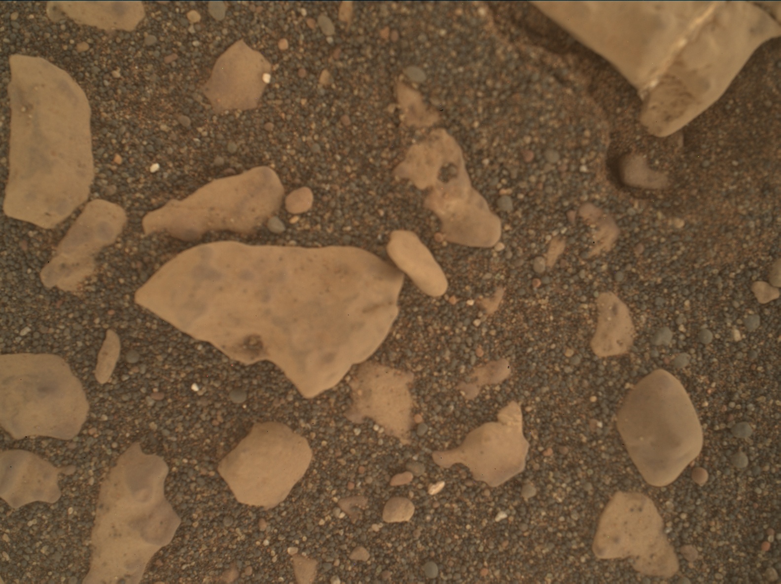 Nasa's Mars rover Curiosity acquired this image using its Mars Hand Lens Imager (MAHLI) on Sol 3036