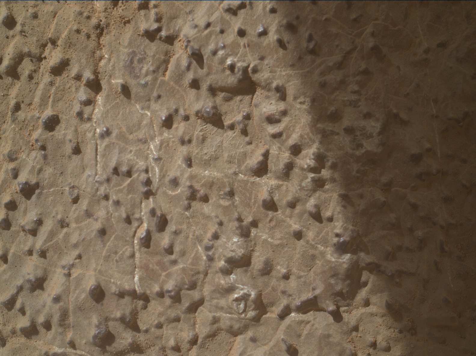 Nasa's Mars rover Curiosity acquired this image using its Mars Hand Lens Imager (MAHLI) on Sol 3037