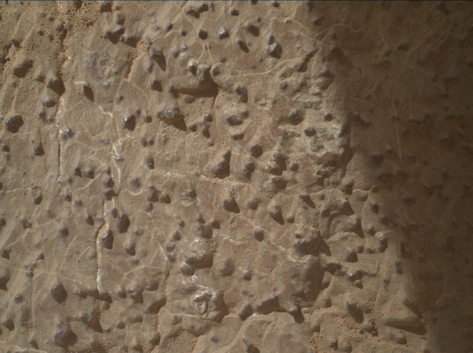 Nasa's Mars rover Curiosity acquired this image using its Mars Hand Lens Imager (MAHLI) on Sol 3037