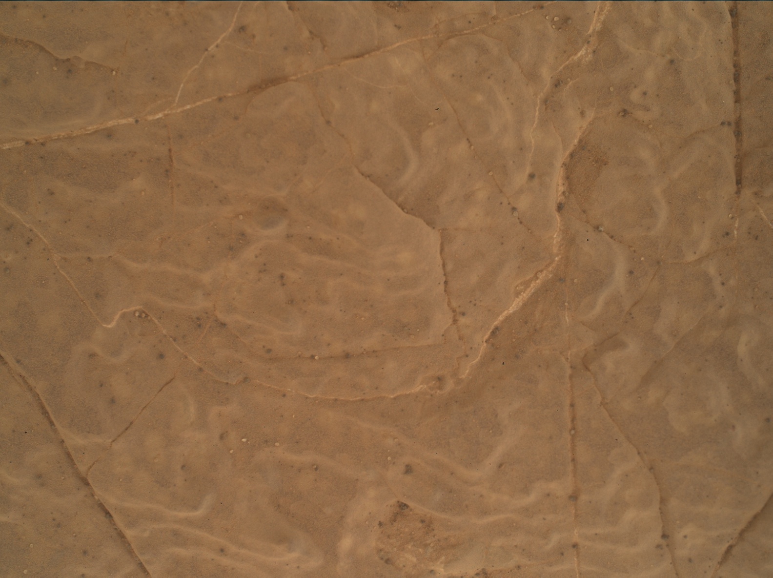 Nasa's Mars rover Curiosity acquired this image using its Mars Hand Lens Imager (MAHLI) on Sol 3040