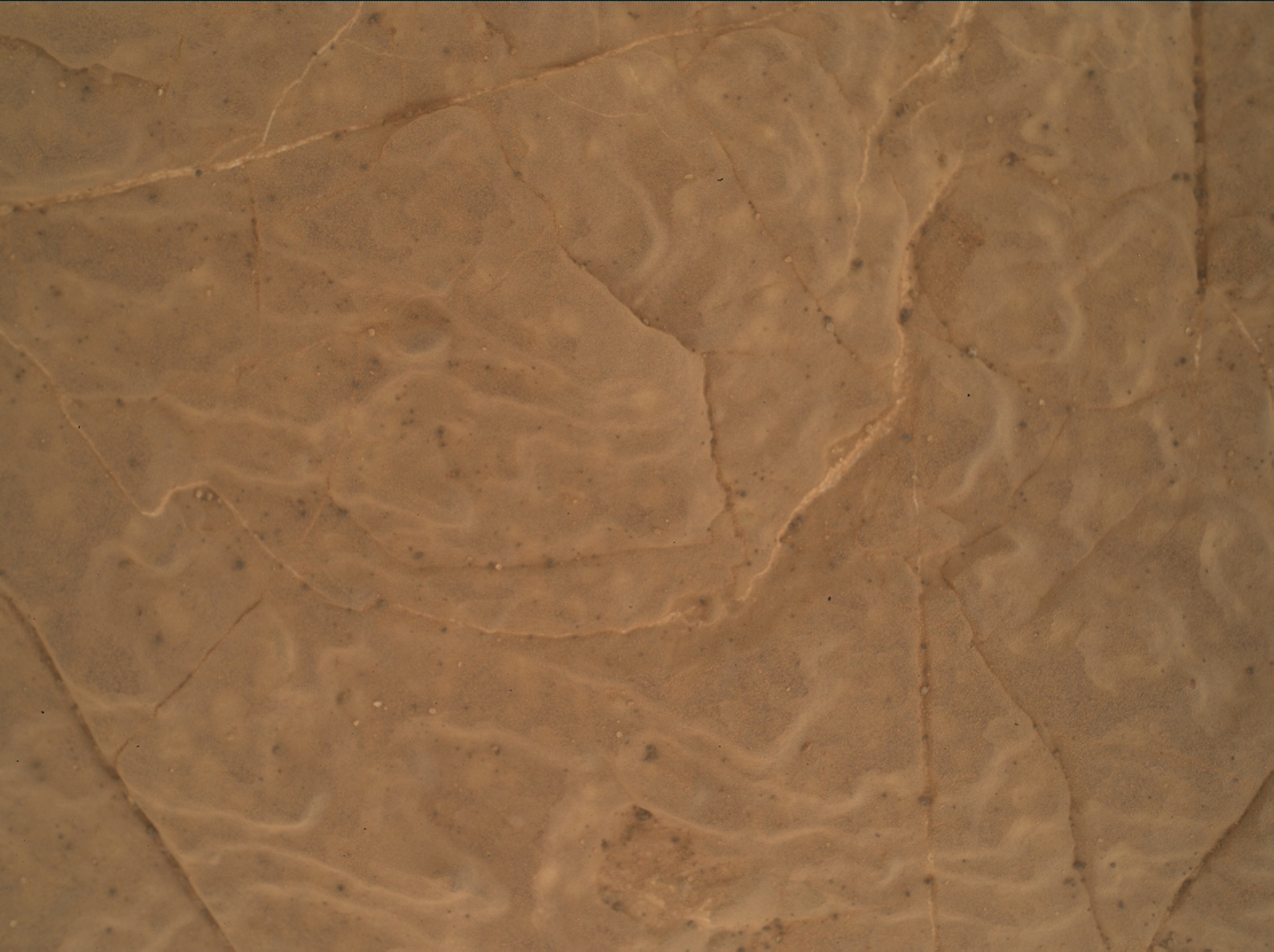 Nasa's Mars rover Curiosity acquired this image using its Mars Hand Lens Imager (MAHLI) on Sol 3040