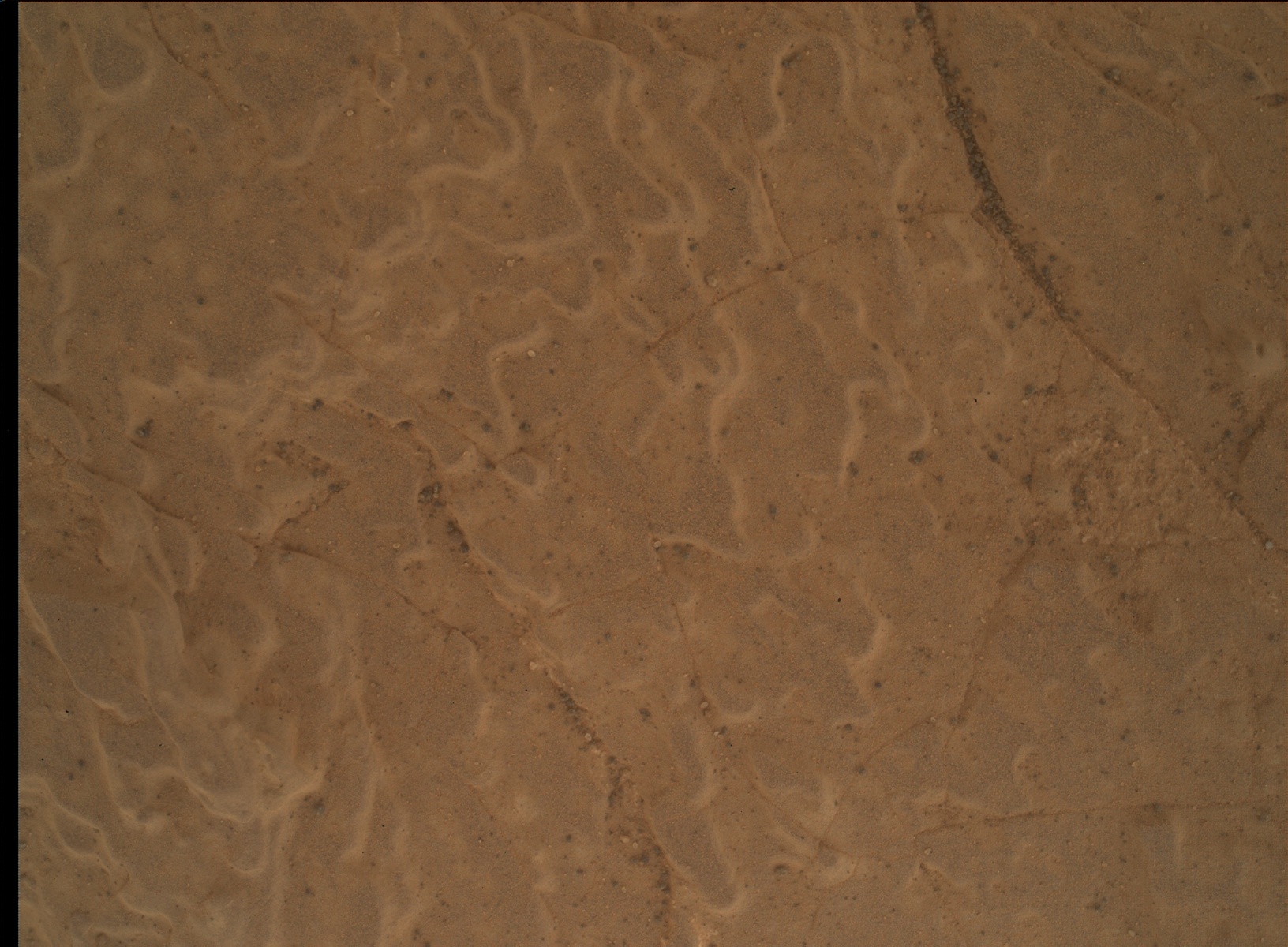 Nasa's Mars rover Curiosity acquired this image using its Mars Hand Lens Imager (MAHLI) on Sol 3042