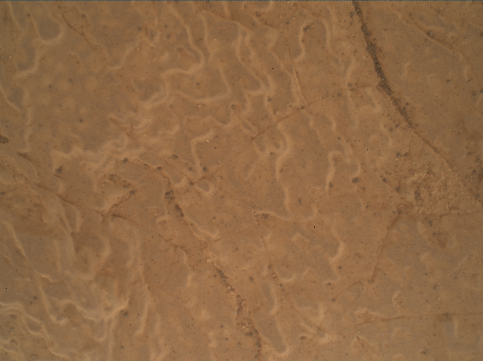 Nasa's Mars rover Curiosity acquired this image using its Mars Hand Lens Imager (MAHLI) on Sol 3042