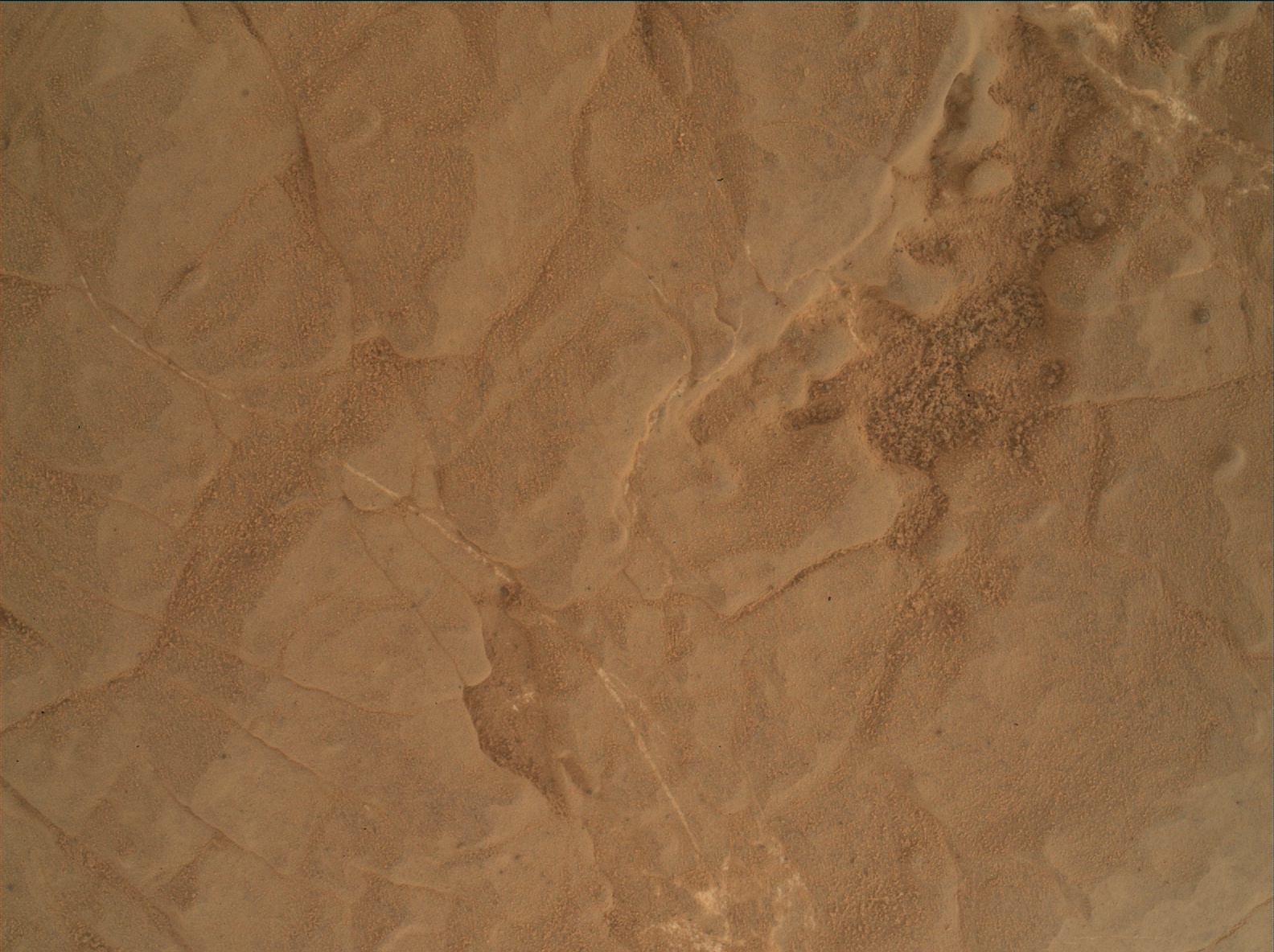 Nasa's Mars rover Curiosity acquired this image using its Mars Hand Lens Imager (MAHLI) on Sol 3047