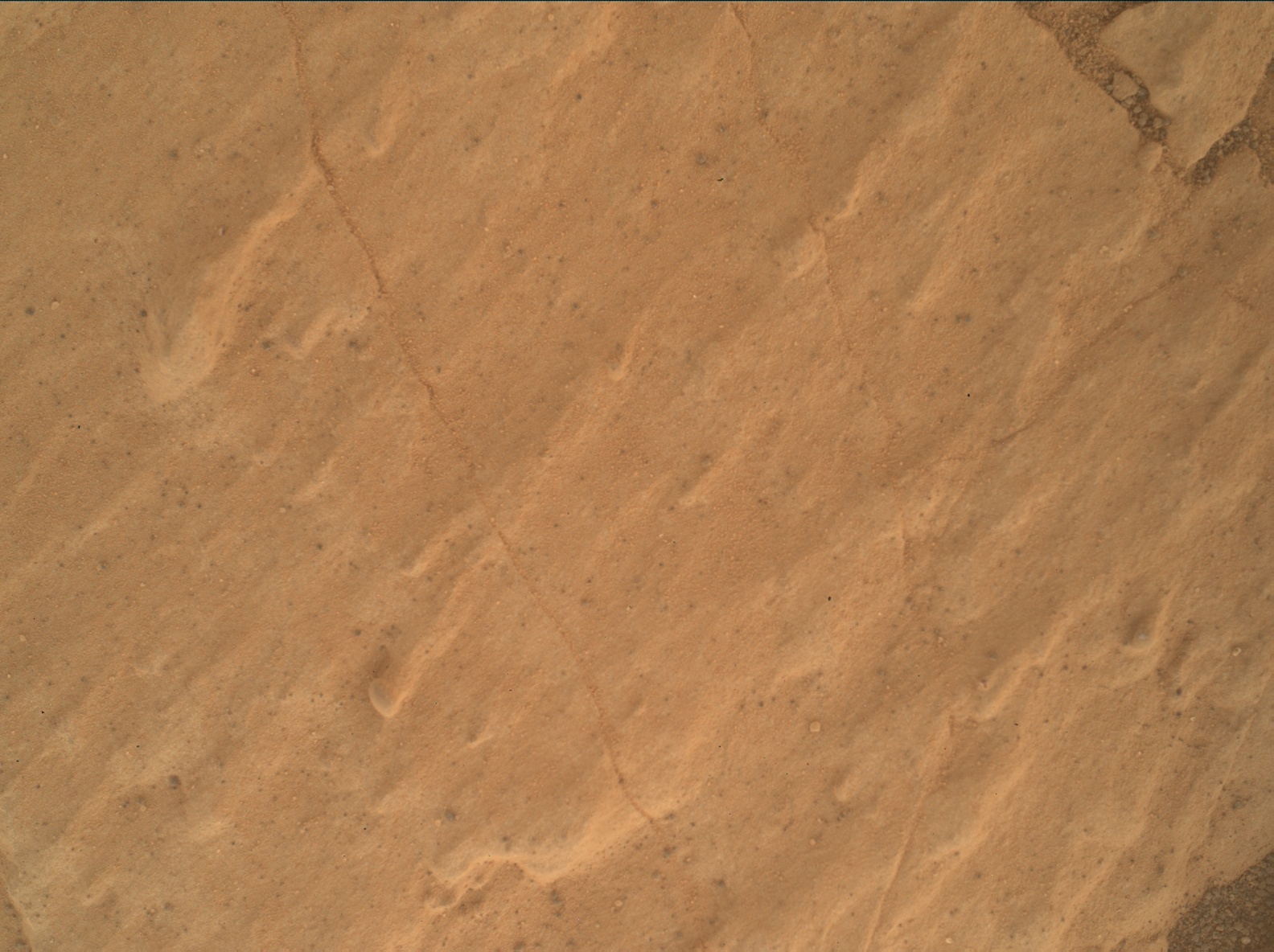 Nasa's Mars rover Curiosity acquired this image using its Mars Hand Lens Imager (MAHLI) on Sol 3074