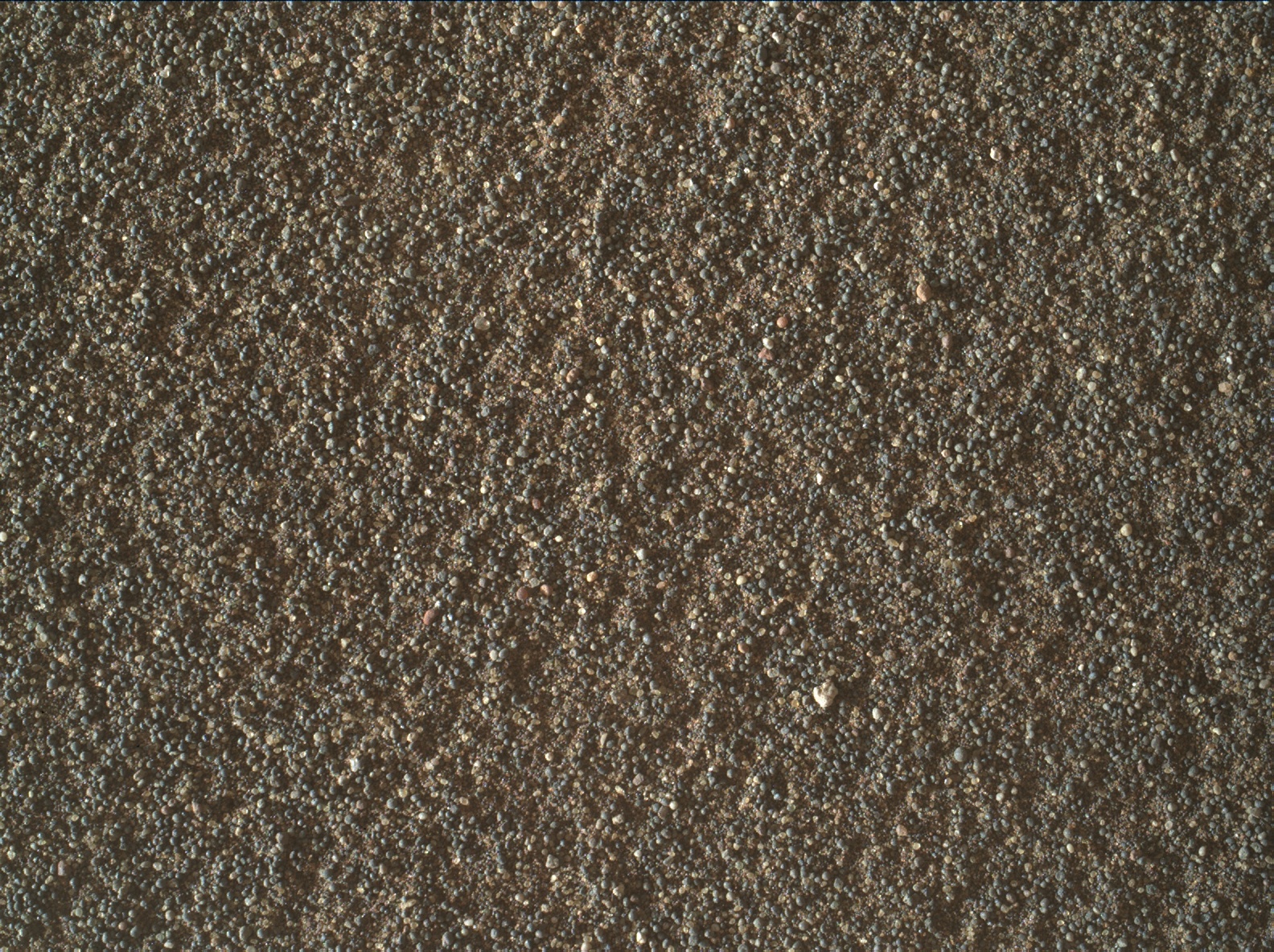 Nasa's Mars rover Curiosity acquired this image using its Mars Hand Lens Imager (MAHLI) on Sol 3078