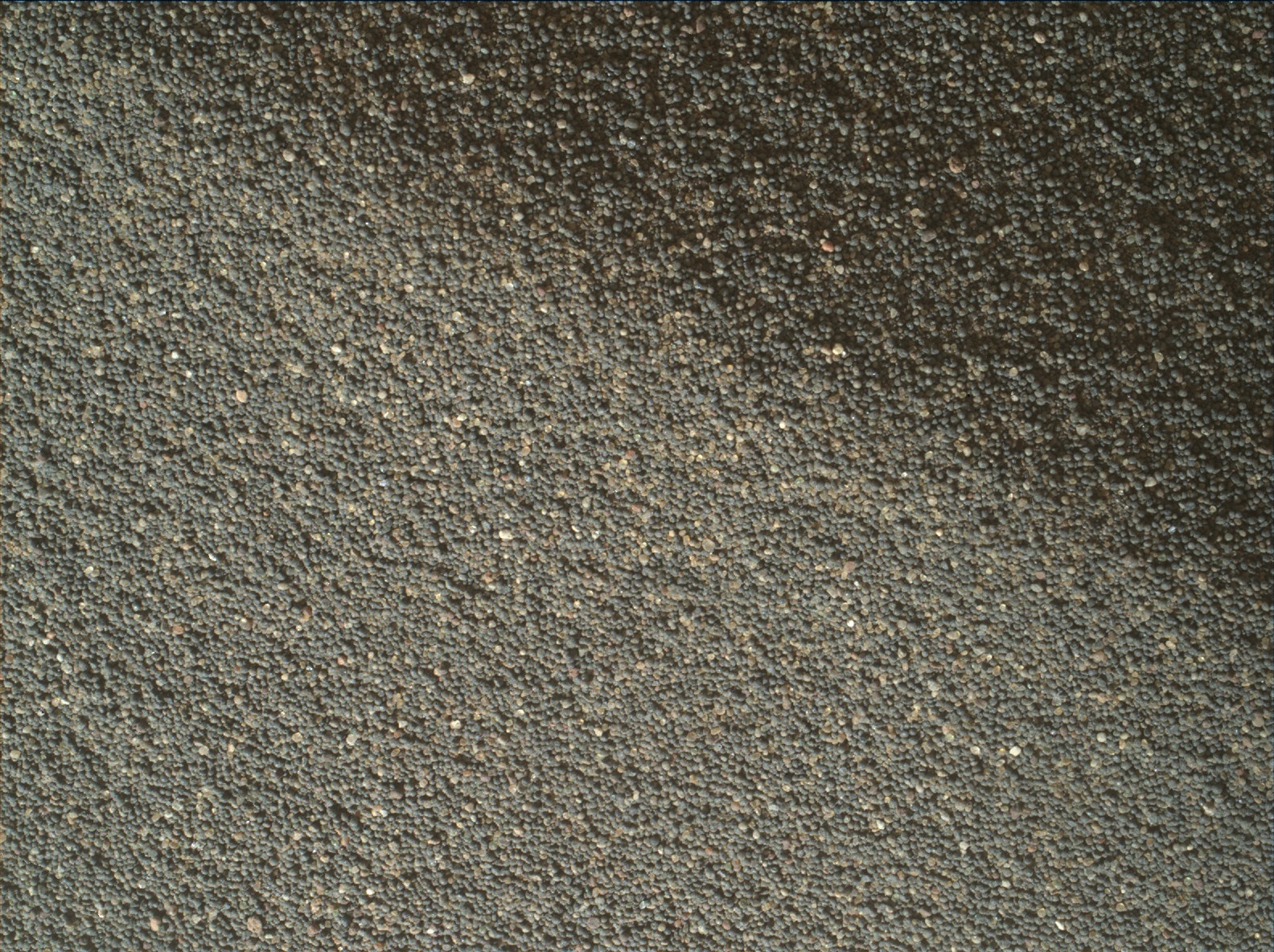Nasa's Mars rover Curiosity acquired this image using its Mars Hand Lens Imager (MAHLI) on Sol 3079